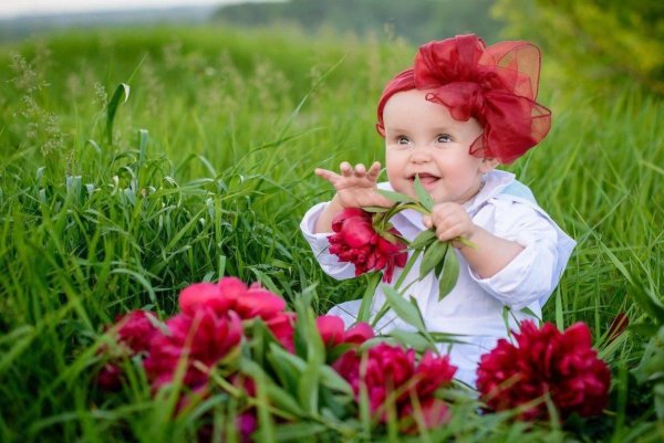 Дети цветы жизни цитаты