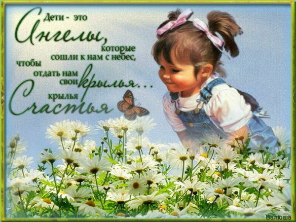 Цветы радости жизни