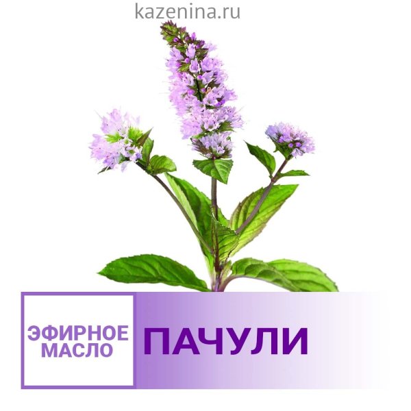 Индонезийский пачули