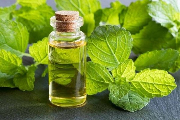 Elfarma эфирное масло Мелисса