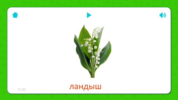 Карточки Домана Ландыш
