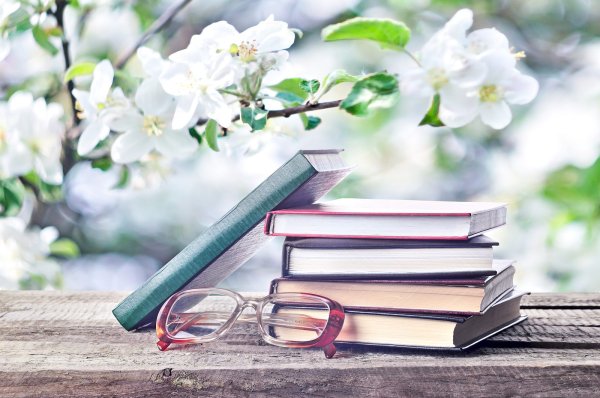 Книги очки цветы