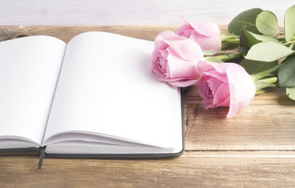 Книга про цвет