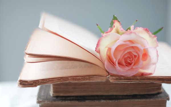 Книга цветы