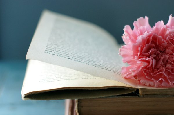 Книга цветы