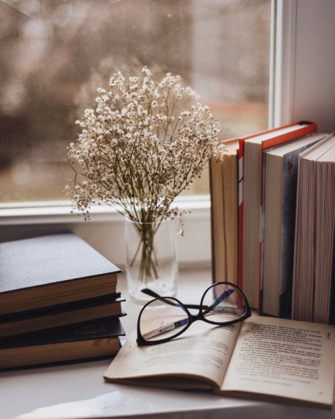 Книжная Эстетика
