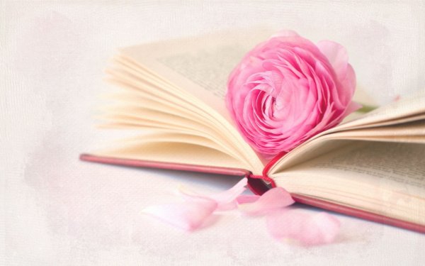 Открытки с книгой и цветами