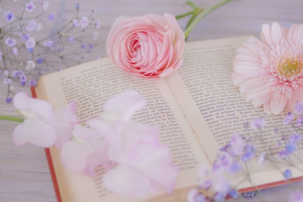 Красивые книги