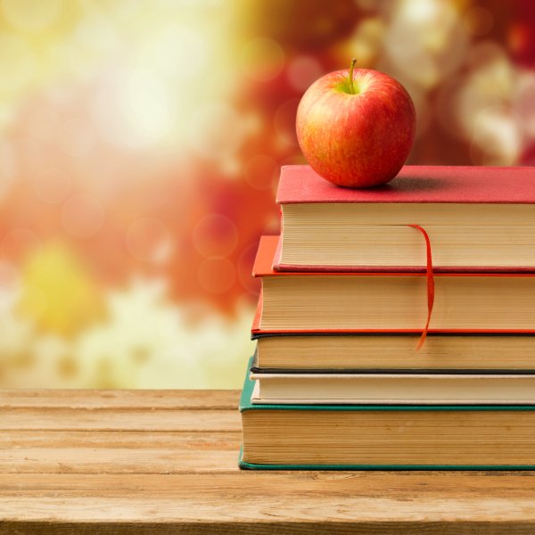 Стопка книг