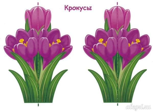 Аппликация крокусы