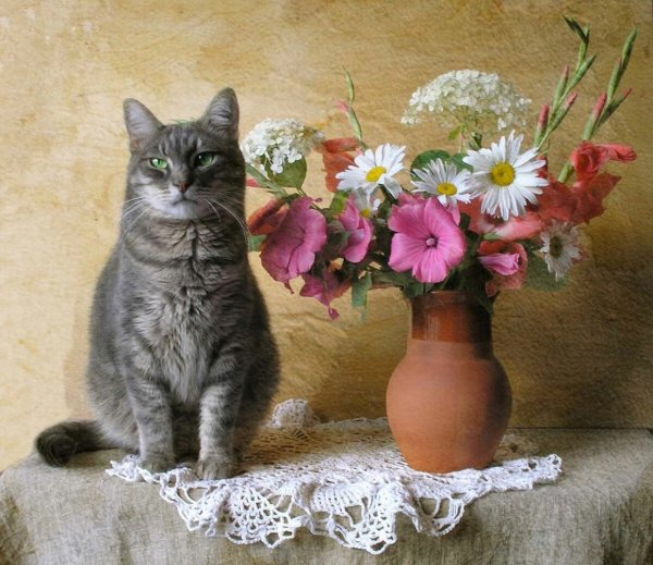Ваза кот