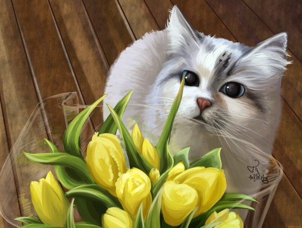 Котик с букетом цветов