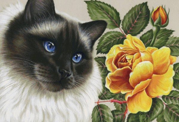 Букет котят