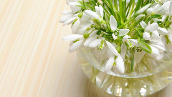 Букет весенних цветов