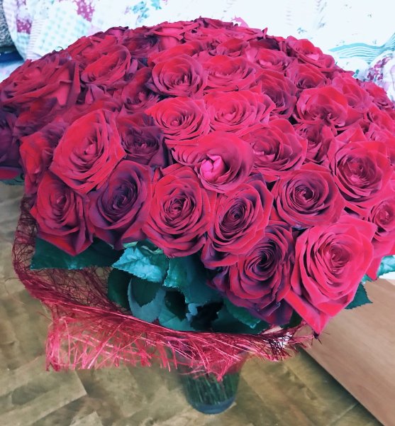 Букет живых роз