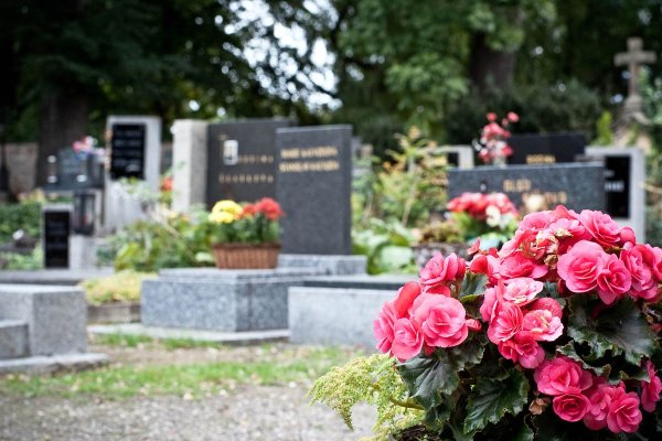 Ирина Цывина могила памятник
