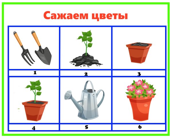 Паспорт комнатных растений в детском саду