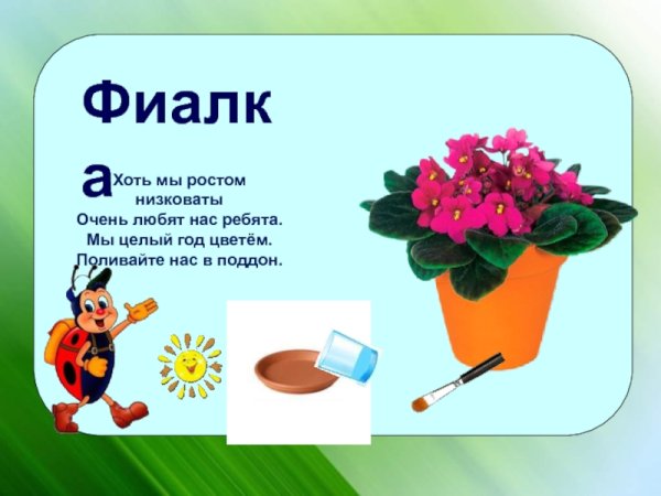 Схема ухода за растениями