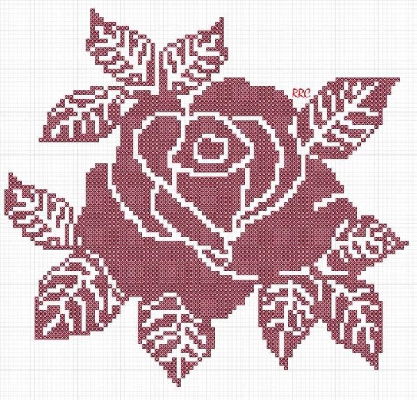 Бискорню пион
