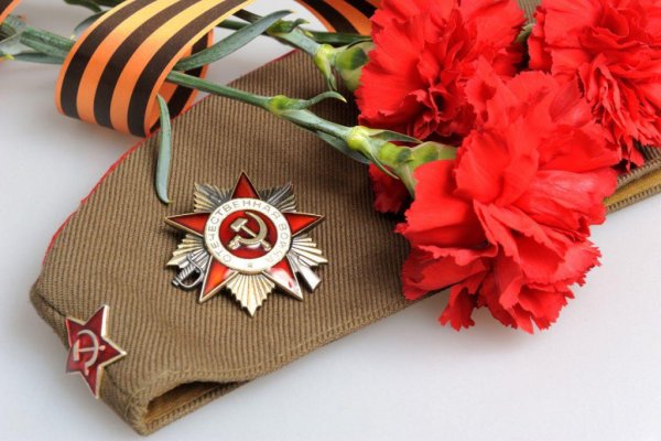 Гвоздики с георгиевской лентой