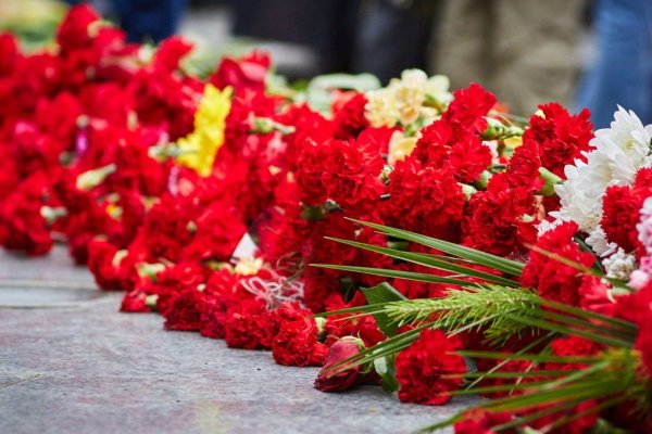 Георгиевская лента с гвоздикой