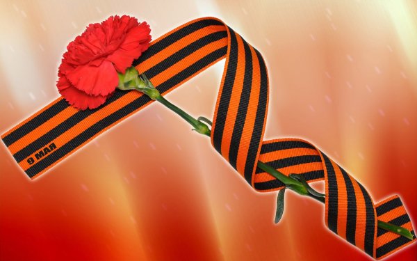 Гвоздики война