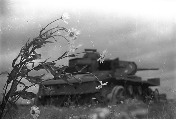 Великая Отечественная война 1941-1945 гвоздики