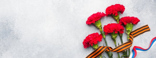Георгиевская лента с гвоздикой