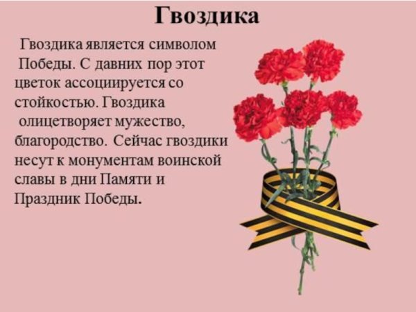 Катарина Кляйн гвоздики