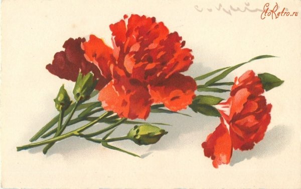 Цветы Победы