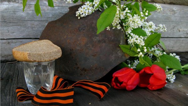Георгиевская лента с гвоздикой