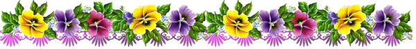 Космея Ксения 10 шт