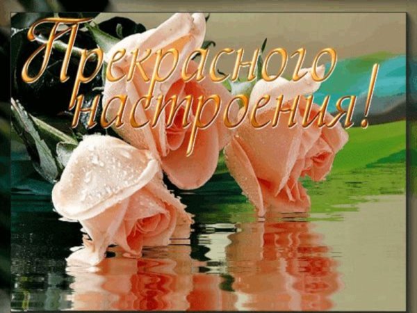 Пожелания анимация