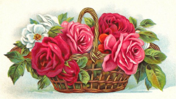 Рисунки цветов и бабочек