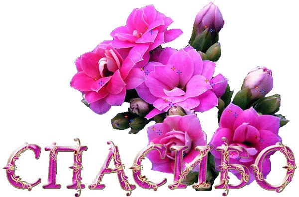 Гифы спасибо