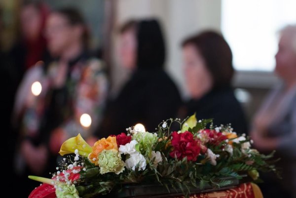 Гвоздики похоронные цветы