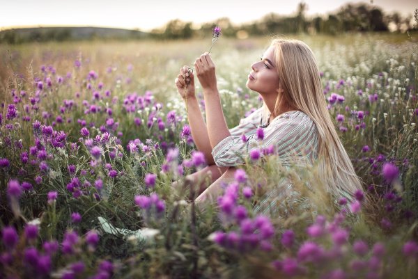 Лаванда Lady Lavender