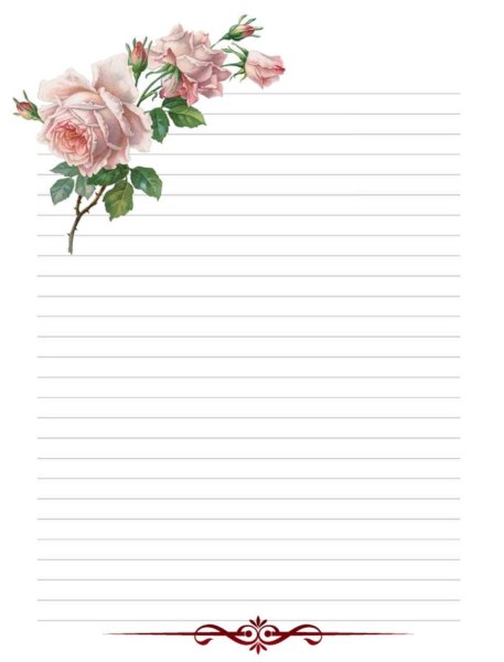 Роза на книге