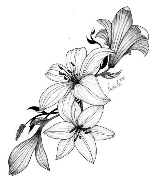 Рисунки в черно белом цвете