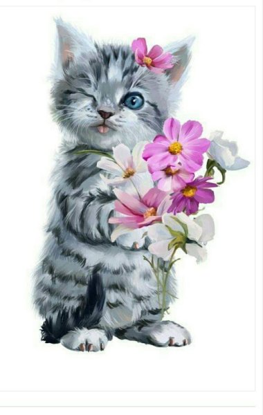 Котенок с букетом цветов