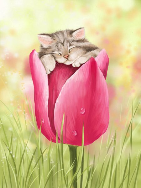 Кошка в цветах