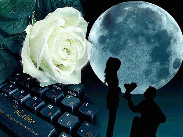 Красивые виртуальные цветы