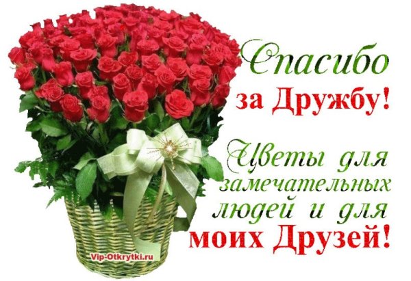 Спасибо за дружбу