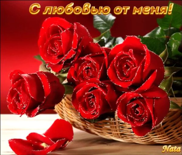 Самые красивые розы для тебя
