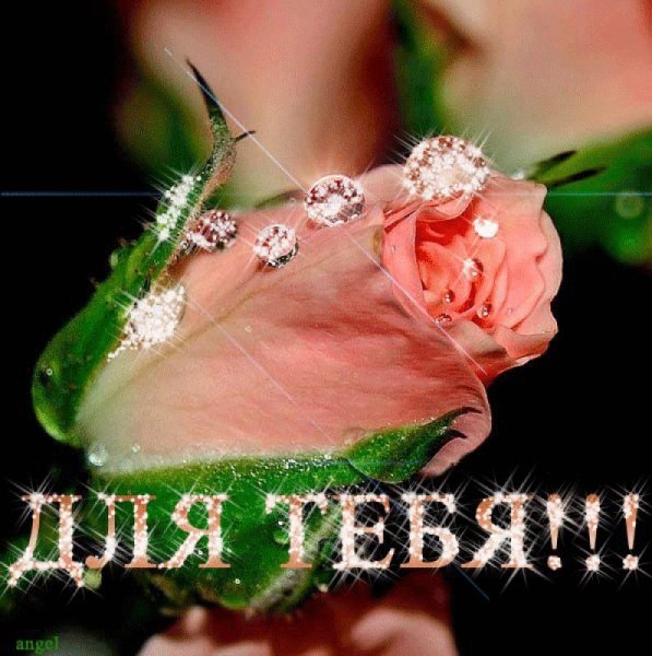 Евгении шикарные цветы