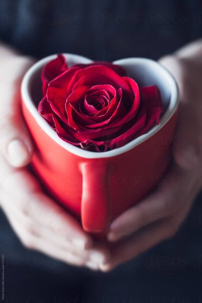Открытки хорошего дня девушке с цветами