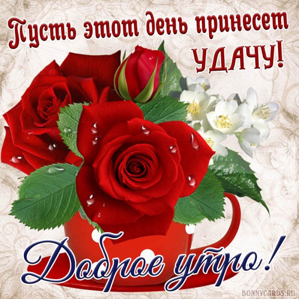 С добрым утром девушке