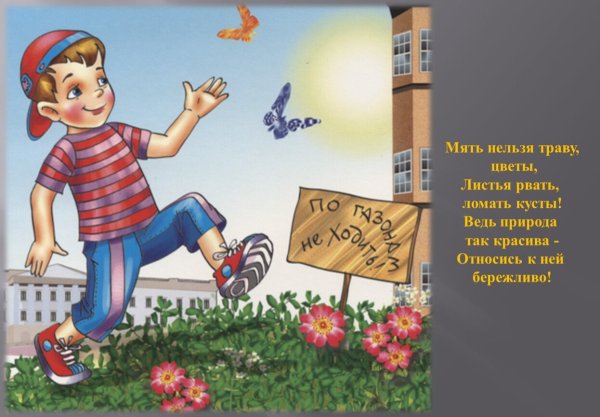Мальчик срывает цветок с клумбы