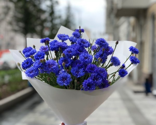 Корзина с васильками