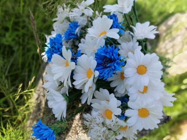 Букет ромашек и Васильков